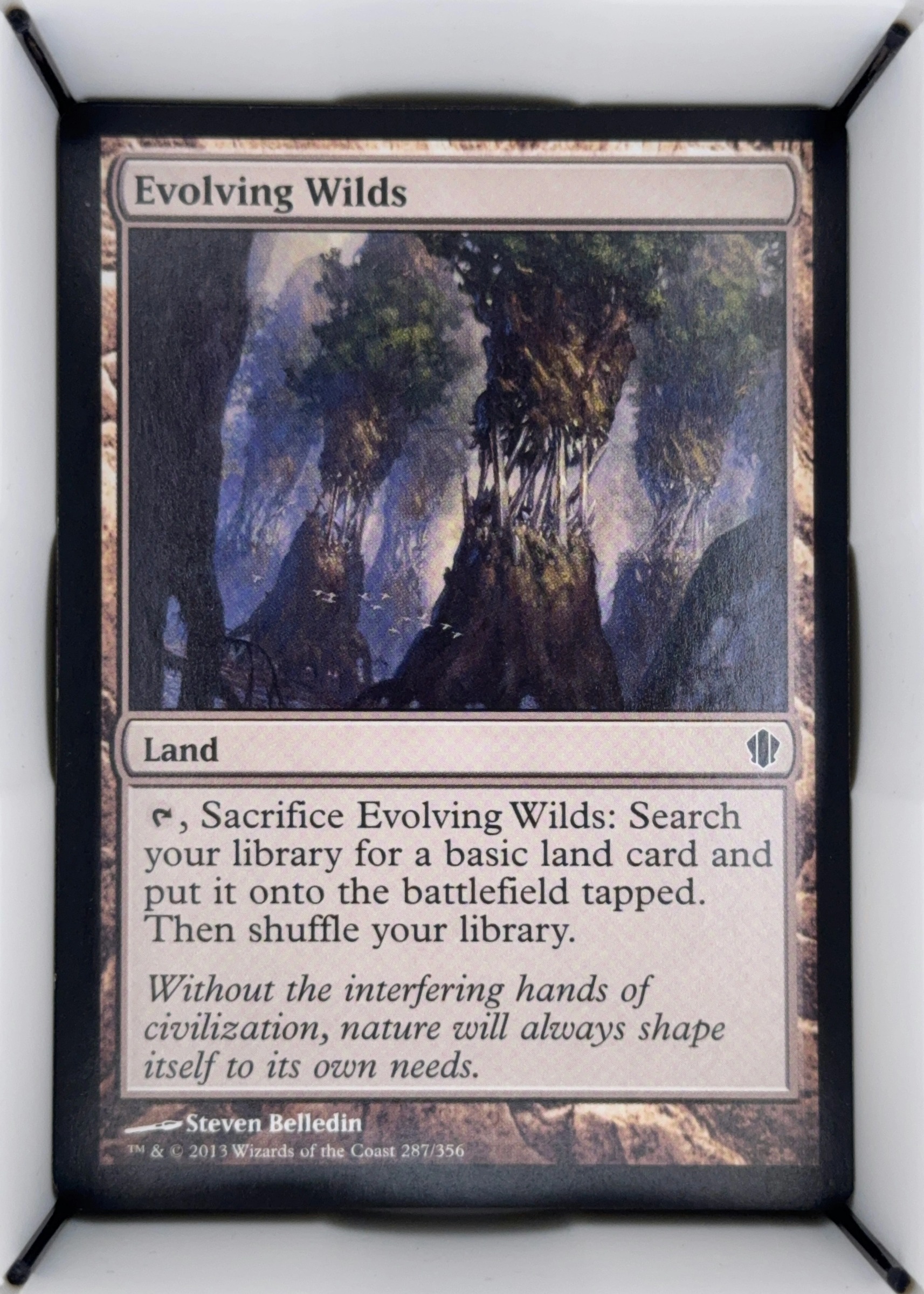 Evolving Wilds, Standard, front
