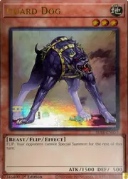 Guard Dog front