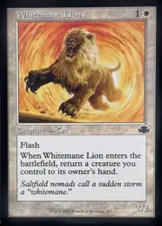 Whitemane Lion front