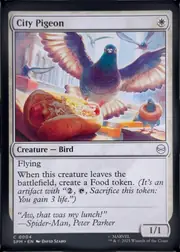 City Pigeon front