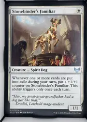 Stonebinder's Familiar front