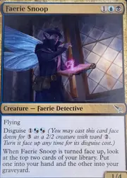 Faerie Snoop front