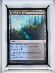 Dismal Backwater front