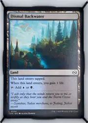 Dismal Backwater front