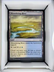 Meandering River front