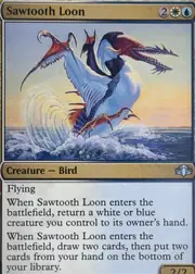 Sawtooth Loon front