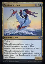 Sawtooth Loon front