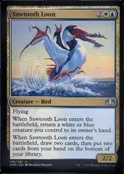 Sawtooth Loon front