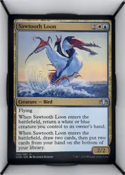 Sawtooth Loon front