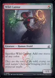 Wild Cantor front