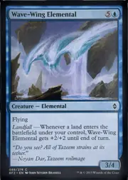 Wave-Wing Elemental front