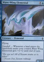 Wave-Wing Elemental front