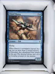 Cloud Manta front