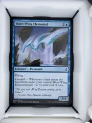 Wave-Wing Elemental front