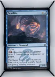 Scaldkin front