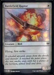 Battlefield Raptor front