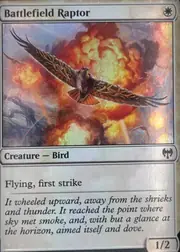 Battlefield Raptor front