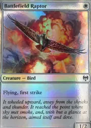 Battlefield Raptor front