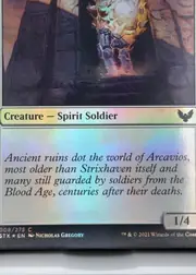 Ageless Guardian front