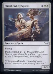 Shepherding Spirits front