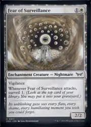 Fear of Surveillance front