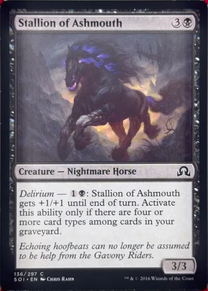 Stallion of Ashmouth front