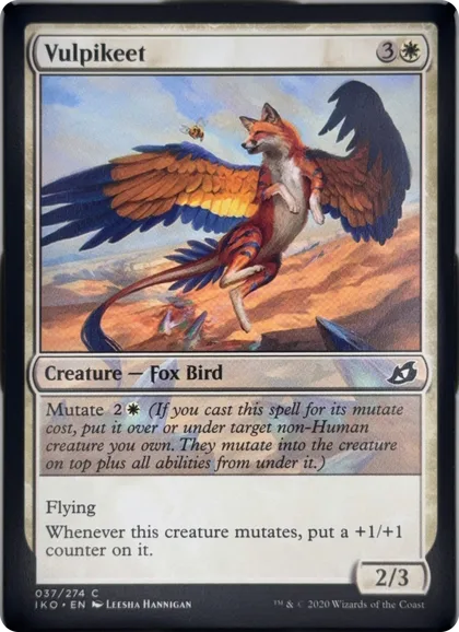 Vulpikeet front