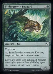Undergrowth Leopard front