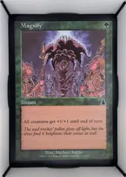 Magnify front