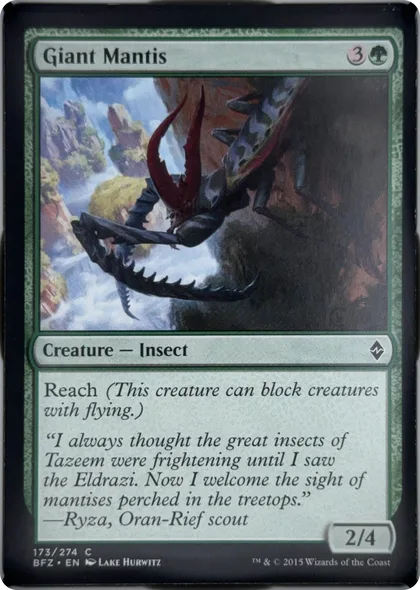 front of card