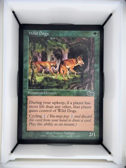 Wild Dogs front