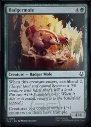 Badgermole front