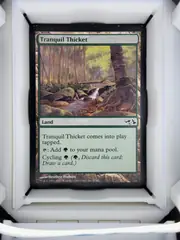 Tranquil Thicket front