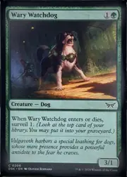 Wary Watchdog front