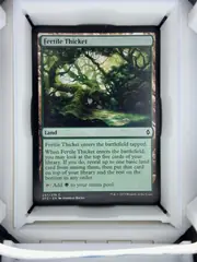 Fertile Thicket front