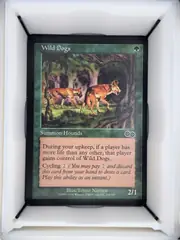Wild Dogs front