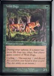 Wild Dogs front