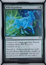 Wild Hypothesis front