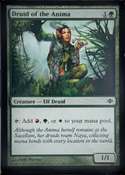 Druid of the Anima front