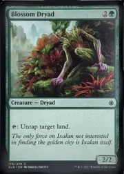 Blossom Dryad front