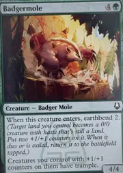 Badgermole front