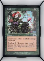Lull front