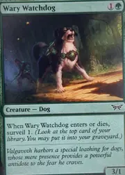 Wary Watchdog front