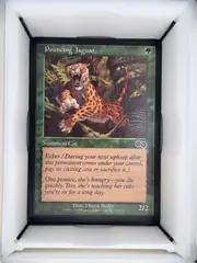 Pouncing Jaguar front