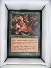 Pouncing Jaguar front
