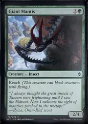 Giant Mantis front