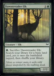 Dawntreader Elk front