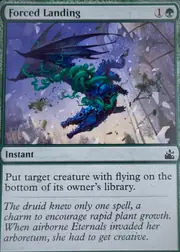 Forced Landing front