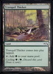 Tranquil Thicket front
