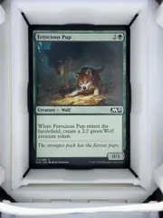 Ferocious Pup front